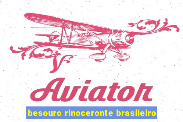 besouro rinoceronte brasileiro